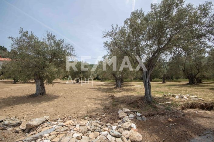 Image No.29-Land for sale