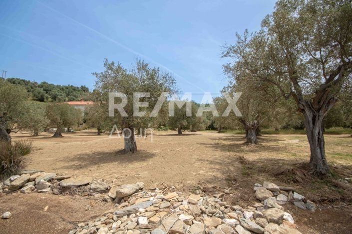 Image No.30-Land for sale