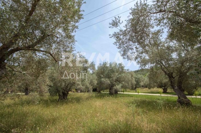 Image No.35-Land for sale