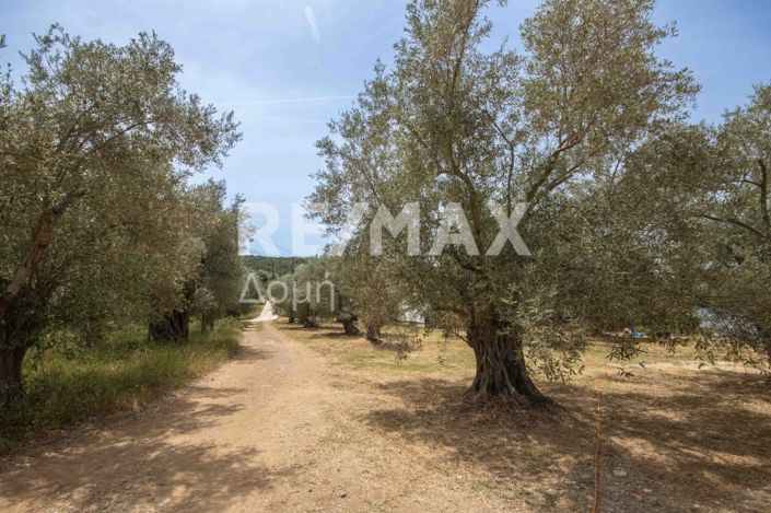 Image No.44-Land for sale