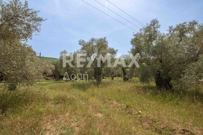 Image No.45-Land for sale