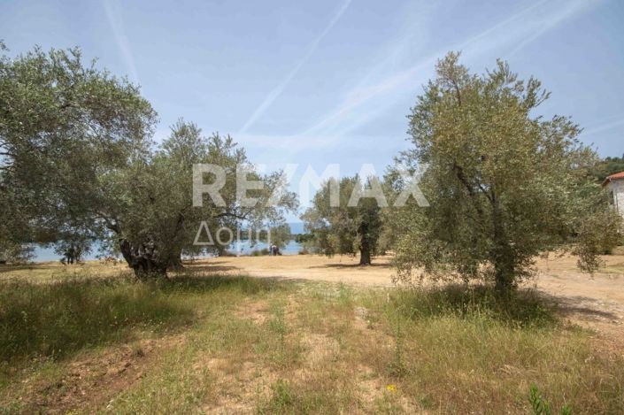 Image No.46-Land for sale