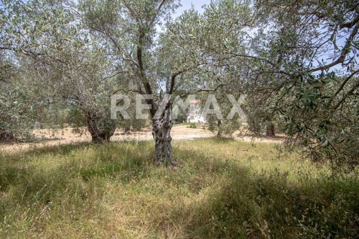 Image No.49-Land for sale