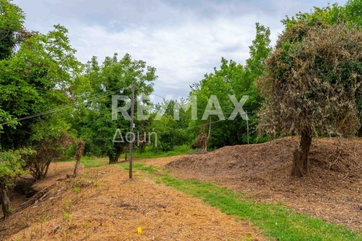 Image No.9-Property for sale