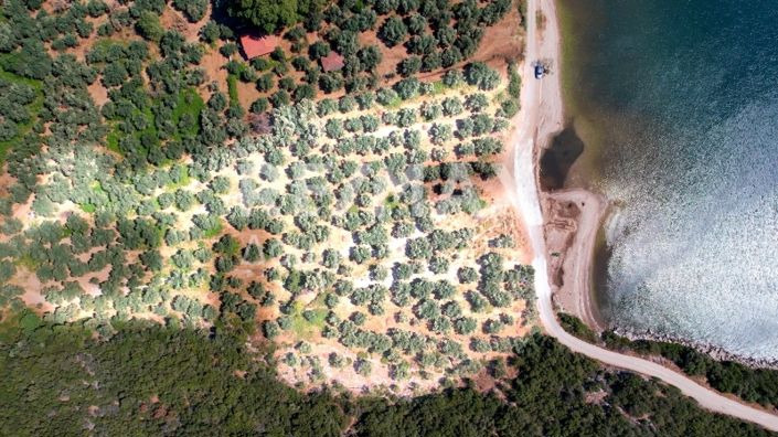 Image No.7-Property for sale