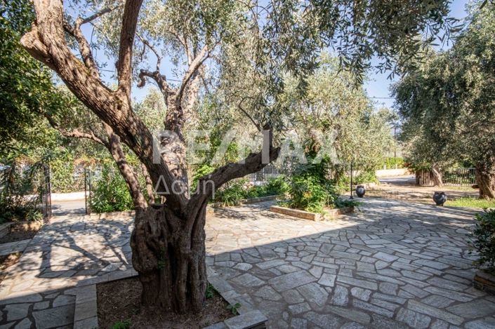 Image No.42-3 Bed Property for sale