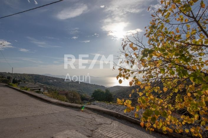 Image No.10-3 Bed House for sale