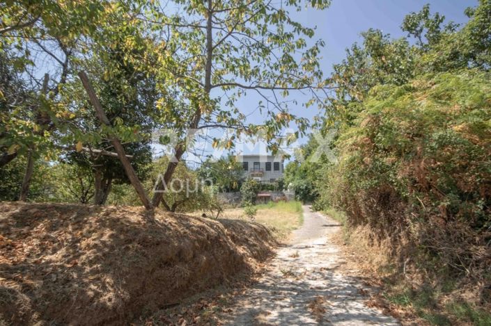 Image No.53-5 Bed Property for sale