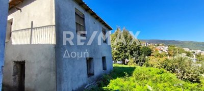 1 - Center, Property