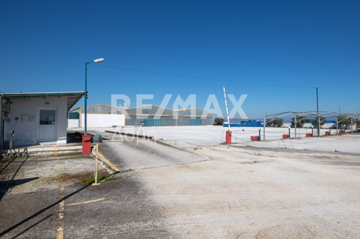 Image No.15-10 Bed Property for sale