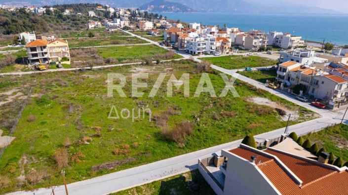 Image No.12-Terre à vendre à Magnésie