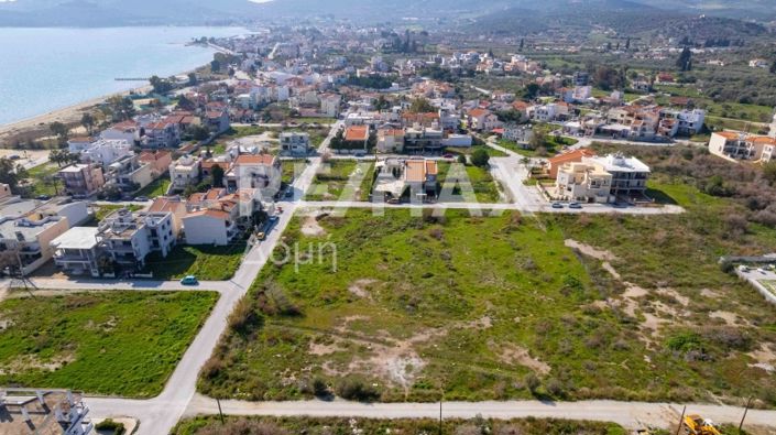 Image No.21-Terre à vendre à Magnésie