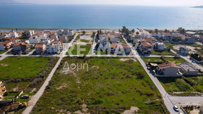 Image No.23-Terre à vendre à Magnésie