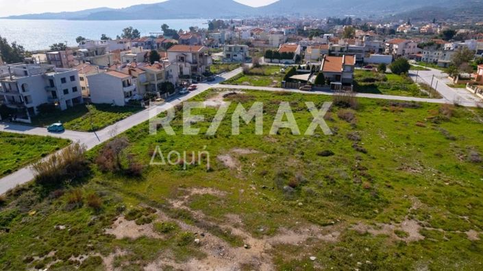 Image No.6-Terre à vendre à Magnésie