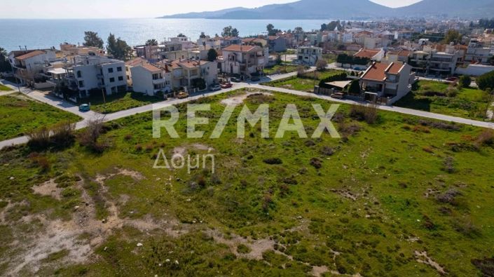 Image No.7-Terre à vendre à Magnésie