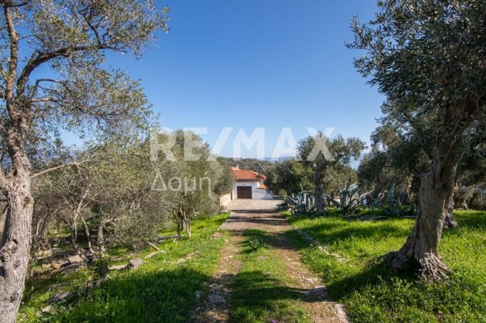 Image No.40-3 Bed House for sale