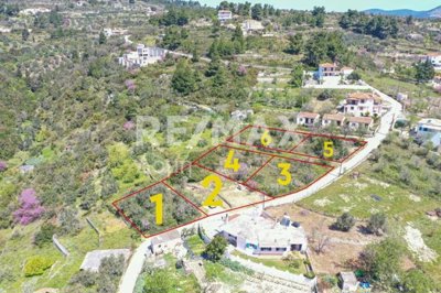 1 - Alonnisos, Propriété