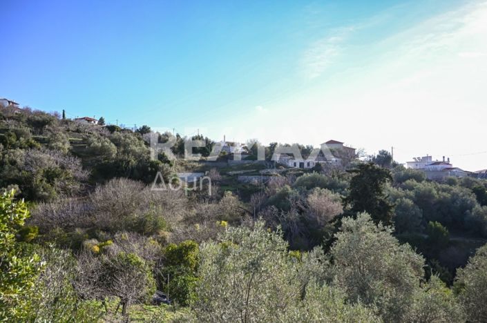 Image No.20-Propriété à vendre à Alonnisos