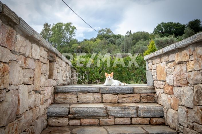 Image No.19-4 Bed Property for sale