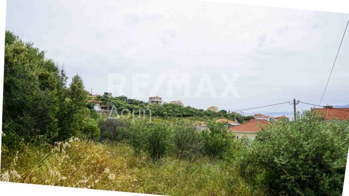 Image No.11-Terre à vendre à Agios Georgios 