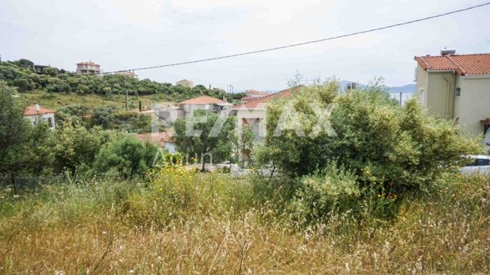 Image No.18-Terre à vendre à Agios Georgios 