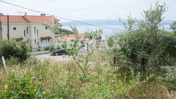 Image No.4-Terre à vendre à Agios Georgios 