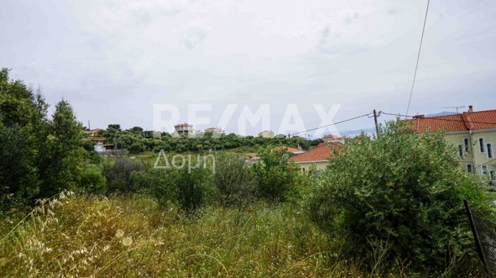 Image No.9-Terre à vendre à Agios Georgios 