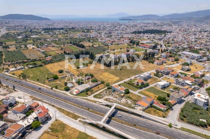 Image No.11-Terre à vendre à Magnésie