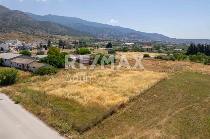 Image No.2-Terre à vendre à Magnésie