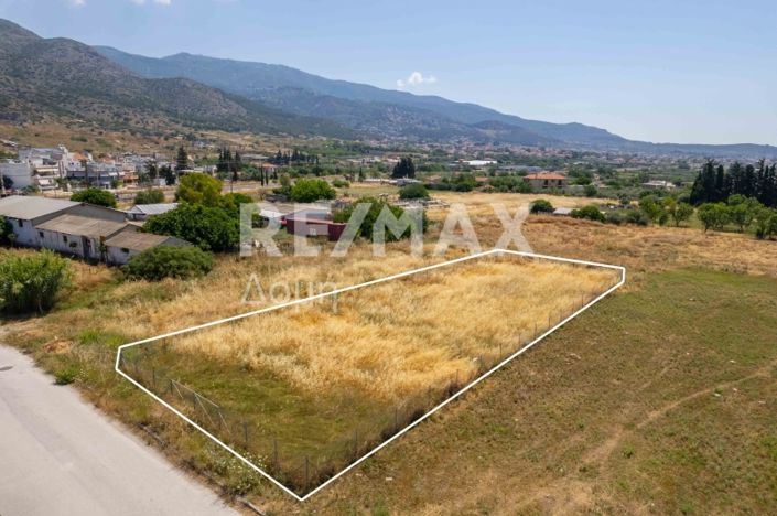 Image No.3-Terre à vendre à Magnésie