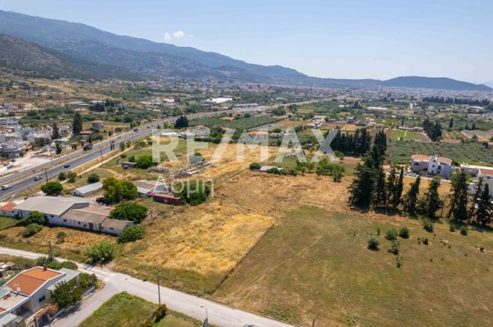 Image No.5-Terre à vendre à Magnésie