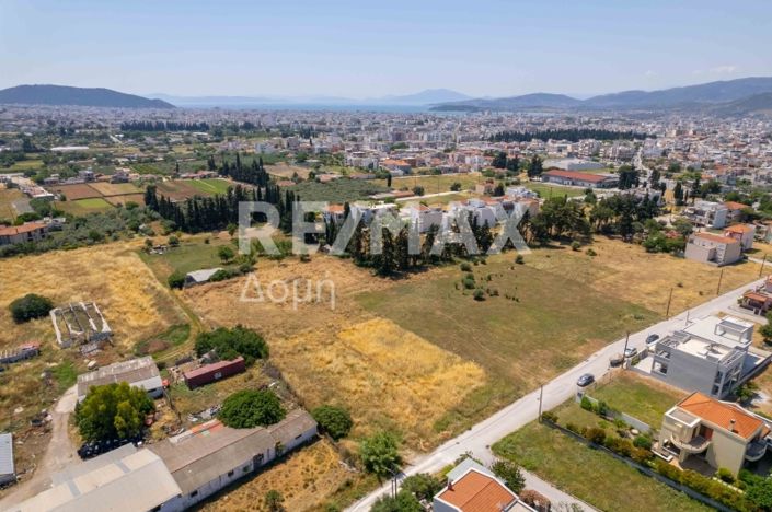 Image No.9-Terre à vendre à Magnésie