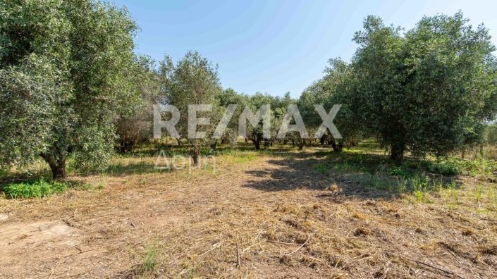 Image No.43-2 Bed House for sale