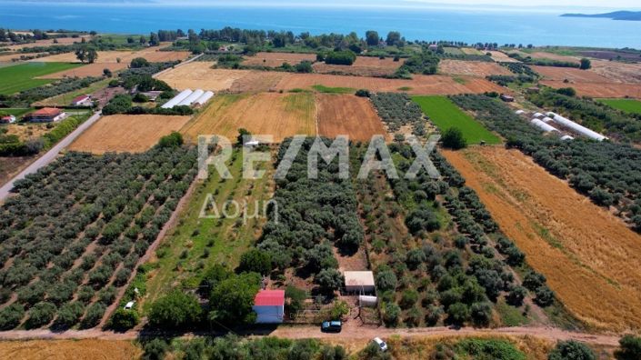 Image No.47-2 Bed House for sale