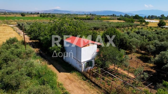 Image No.48-2 Bed House for sale