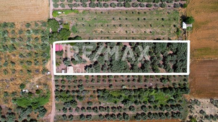 Image No.5-2 Bed House for sale