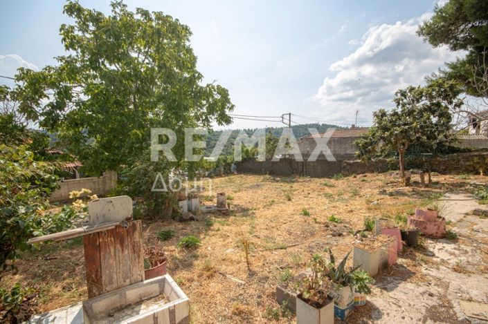 Image No.11-1 Bed House for sale