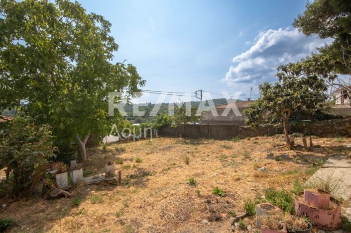 Image No.13-1 Bed House for sale