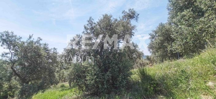 Image No.11-Property for sale