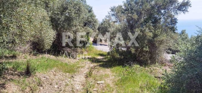 Image No.14-Property for sale