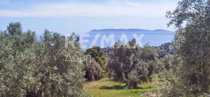 Image No.19-Property for sale