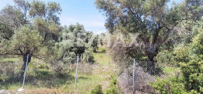 Image No.21-Property for sale