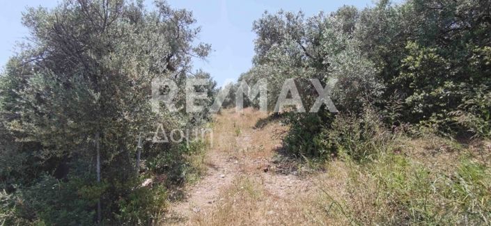 Image No.25-Property for sale