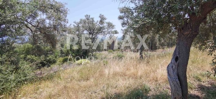 Image No.29-Property for sale