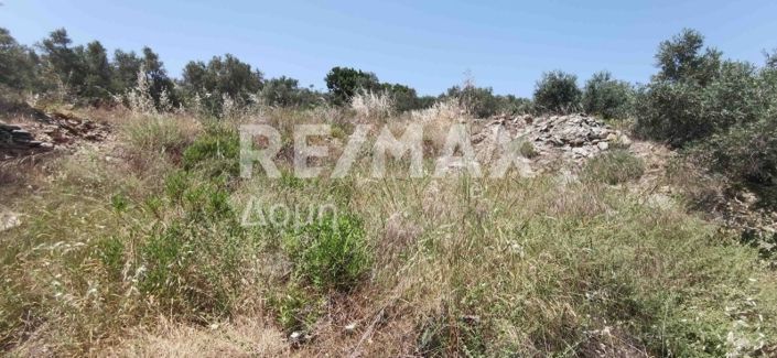 Image No.30-Property for sale