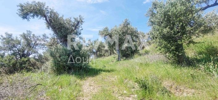 Image No.37-Property for sale