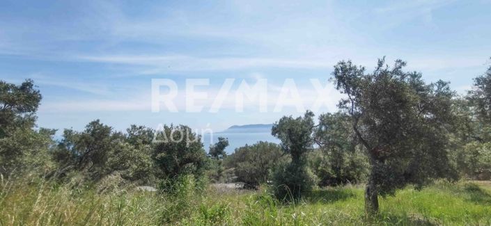 Image No.7-Property for sale