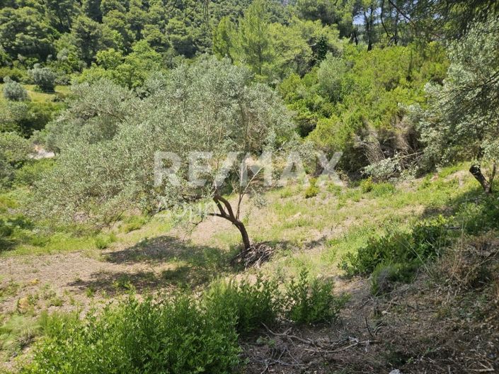 Image No.12-Propriété à vendre à Skiathos