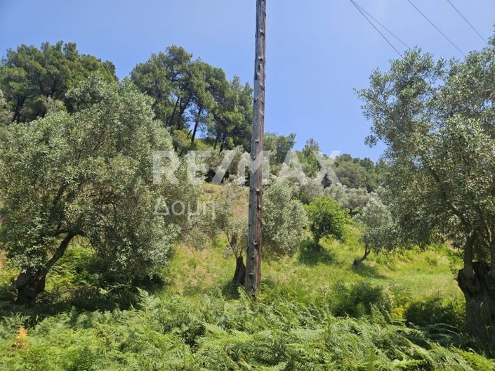 Image No.14-Propriété à vendre à Skiathos
