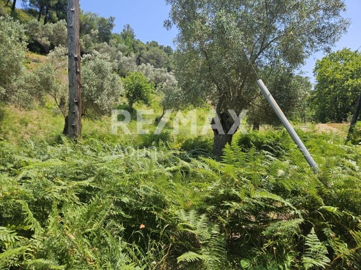 Image No.15-Propriété à vendre à Skiathos